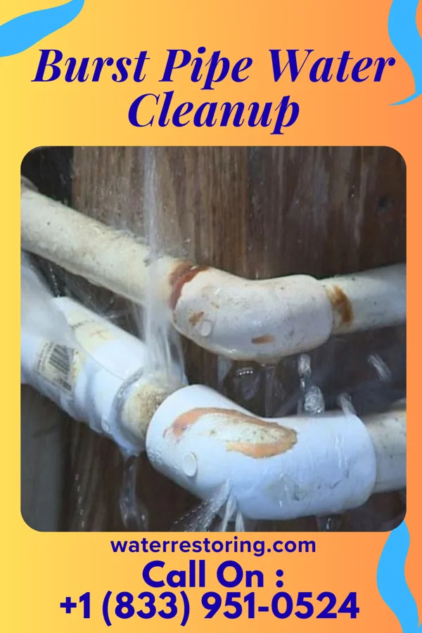 Burst Pipe Water Cleanup in Masontown, PA