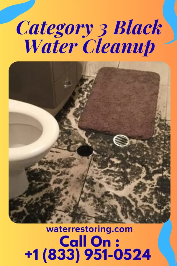 Category 3 Black Water Cleanup in Masontown, PA