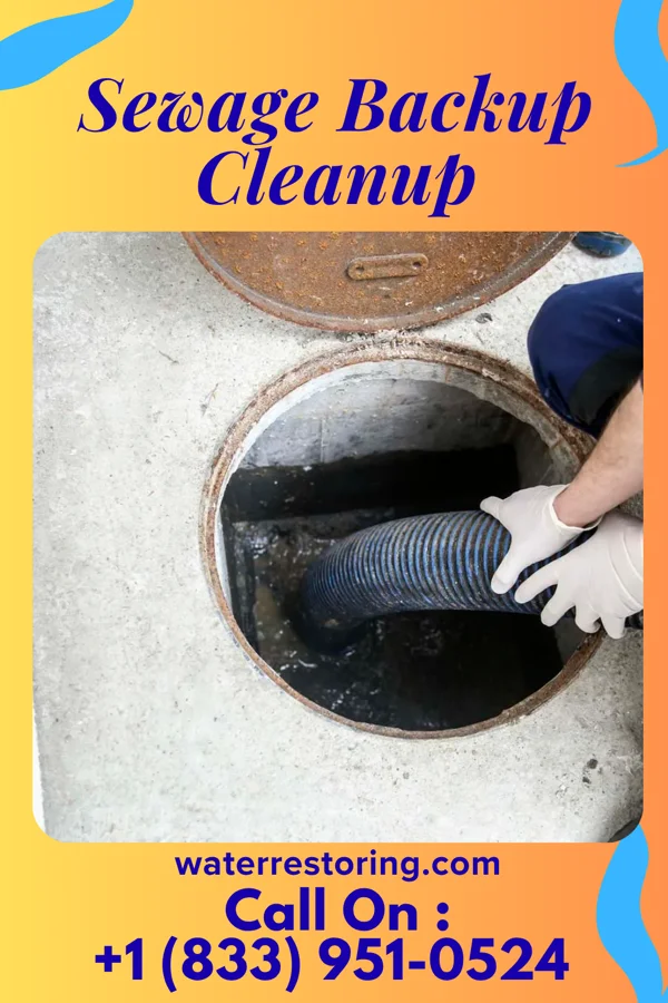 Sewage Backup Cleanup in Masontown, PA