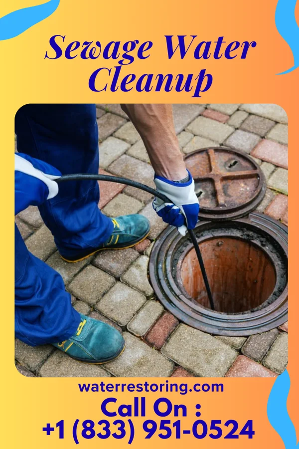 Sewage Water Cleanup in Masontown, PA