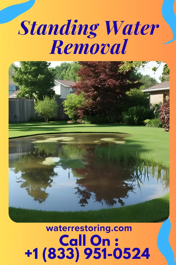 Standing Water Removal in Masontown, PA